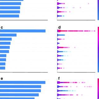Explanation Module に対する画像結果
