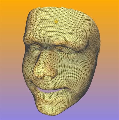 Afbeeldingsresultaten voor Triangle Mesh of a Country Map in Python