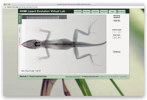 Evolution in Action Data Analysis BioInteractive Answer Key に対する画像結果