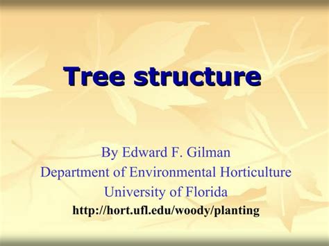 Tree Structure System Detail に対する画像結果