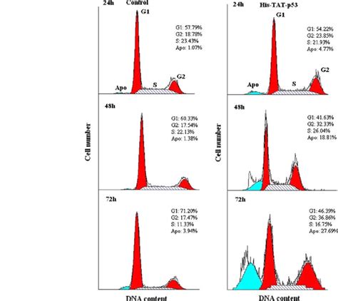 Image result for Flow Cytometry Cell Cycle