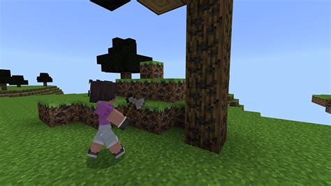 Image result for Minecraft Dimensions