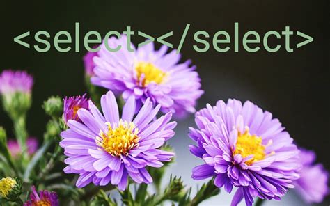 What Is Web Select に対する画像結果