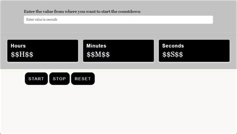 Image result for Timer Screen for Programmer