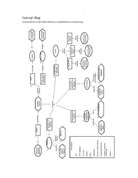 Toradh íomhá ar Muscle Contraction Concept Map
