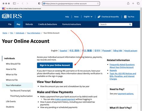 Image result for IRS Direct Pay Online Payment