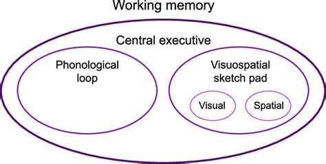 Image result for Components of Working Memory