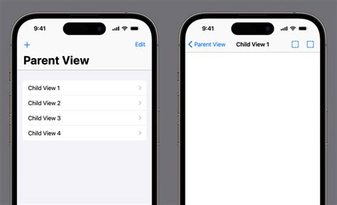 Image result for iOS Design Edit Information