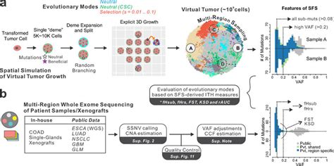 Image result for Genomic Analysis