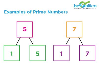 Prime Numbers - Definition, Prime Numbers Chart 1 to 100, Examples