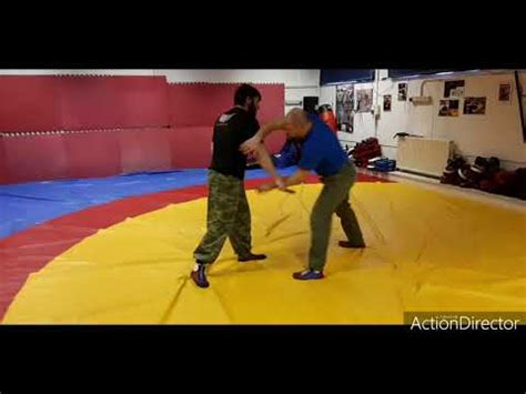 Image result for WW2 Combat Sambo