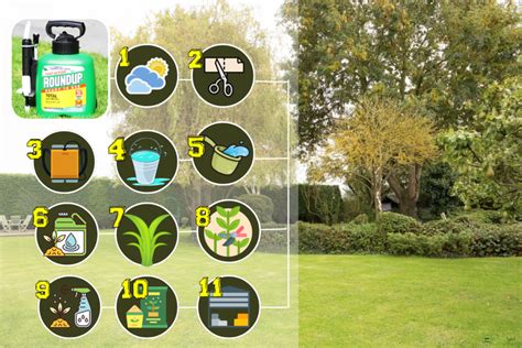 How to Apply Roundup Safely に対する画像結果