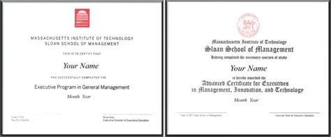 Image result for Sloan Executive MBA