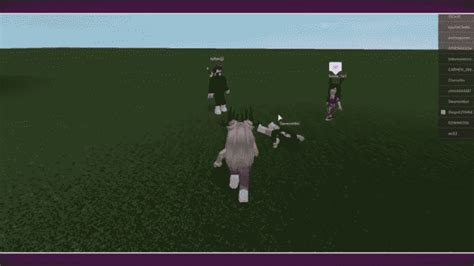 Image result for How to Push in Ragdoll Engine for Computer