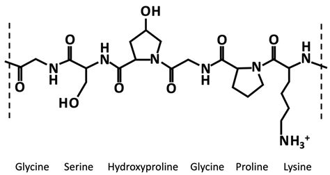 Toradh íomhá ar Protein Backbone Structure Formula