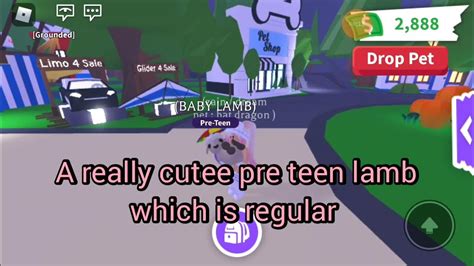 Image result for How to Get a Lamb in Adopt Me