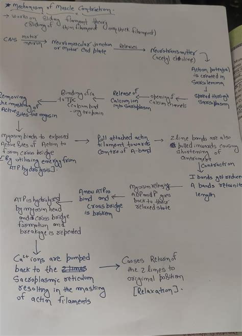 Image result for FLVS Cheat Sheet