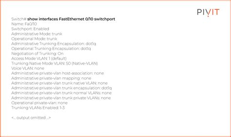 Image result for Switch Trunking