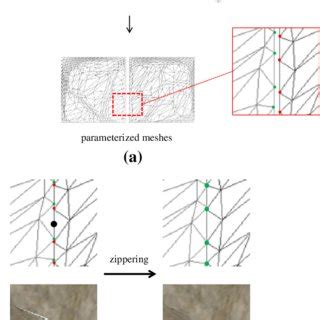 Image result for Overhang Tissue