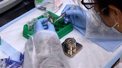 Image result for Lab Mouse Lineage