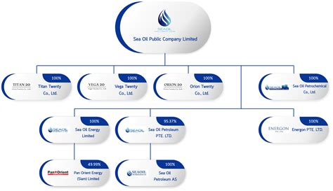 Toradh íomhá ar Structure Chart Subsidiaries Shell