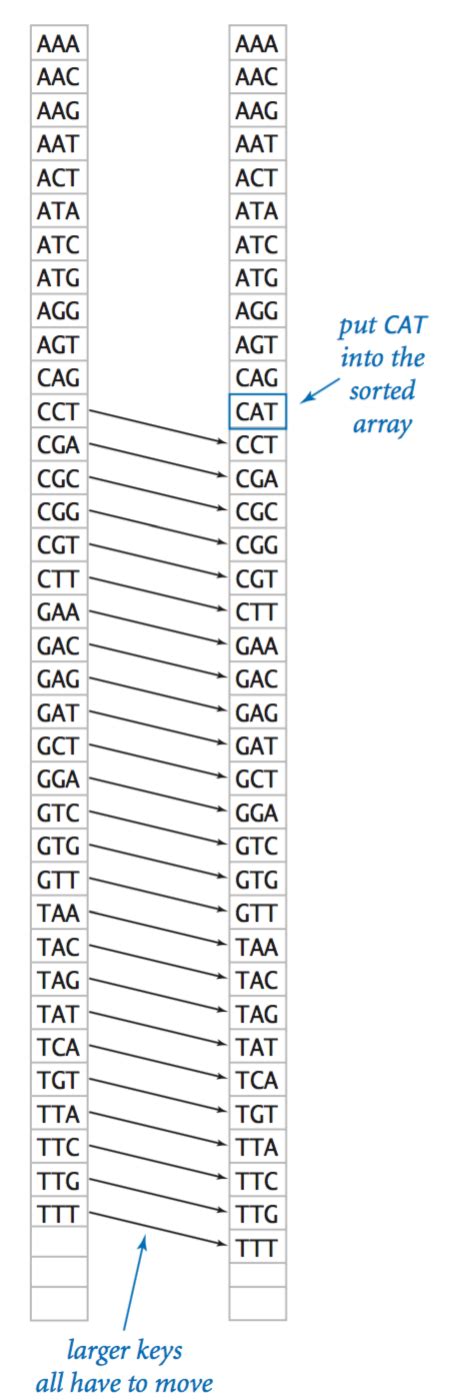 Image result for Sign Array