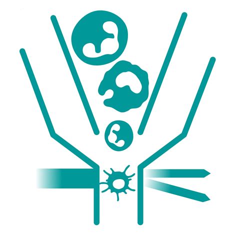 Image result for Flow Cytometry Analysis Icon