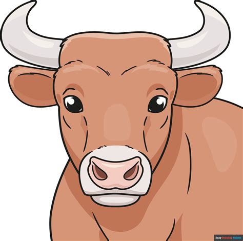 تصویر کا نتیجہ برائے Simple Bull Drawing