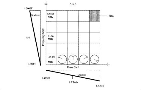 Image result for MRI Spatial Localization
