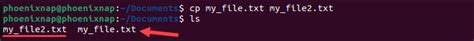 Image result for How to Copy File or Text File and Change Directory in Linux