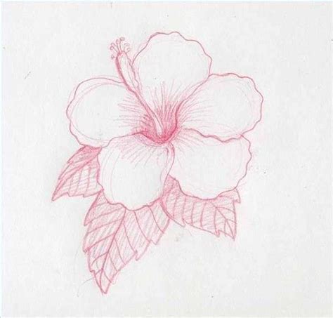 Image result for Flower Drawing Tutorial