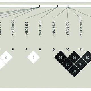 Image result for Linkage Disequilibrium vs Linkage Equilibrium