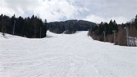 Ski Carving Lessons に対する画像結果