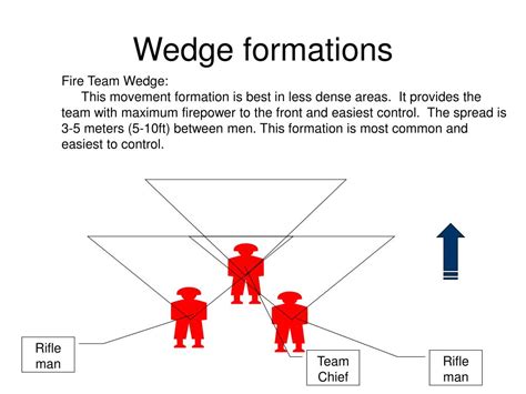 Image result for File Formation Human