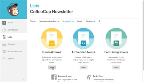 Image result for MailChimp Setup