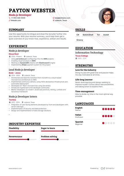 Afbeeldingsresultaten voor JavaScript Developer Resume
