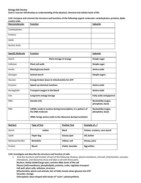 Image result for Nucleic Acids Worksheet Answer Key