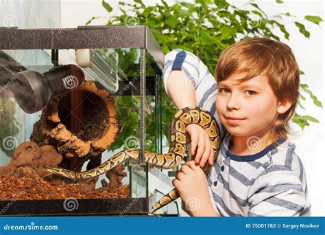 Image result for Python Boy