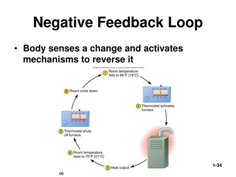 Toradh íomhá ar Generic Feedback Loop Examples
