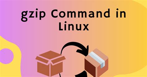 Image result for Gzip File Gunzip