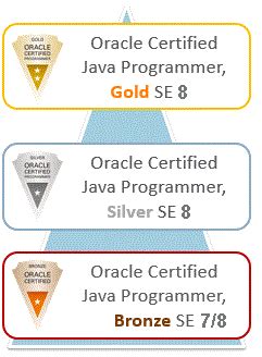 Image result for Oracle Java SE 8