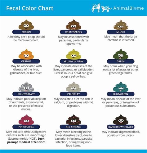 Dog Poop Color Chart に対する画像結果