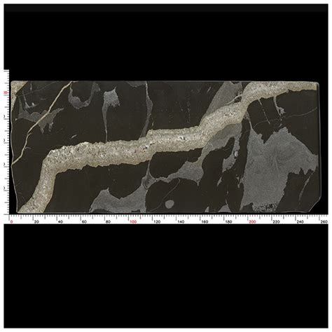 Image result for Python Borax Granite