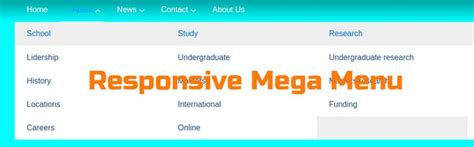 Image result for CSS3 Only Flex Mega Menu. Example Search Logo