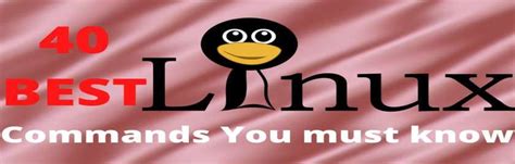 Linux Important Commands に対する画像結果