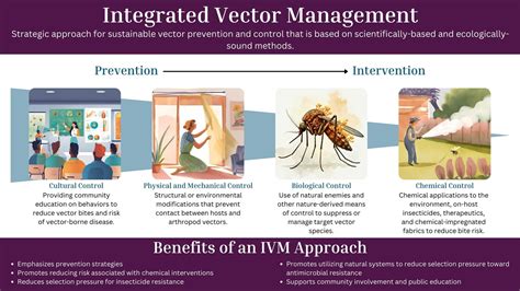 Image result for What Is Integrated Vector Management