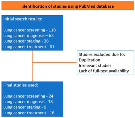 Adam Optimizer Algorithm for Lung Cancer Classification in Deep Learning に対する画像結果