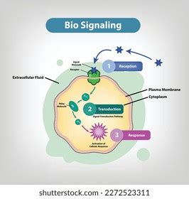 Image result for Biological Signaling Icon