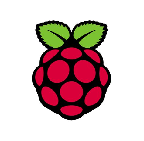 Image result for Raspberry Pi Back