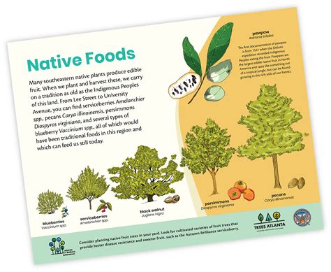 Image result for Signage Design Native